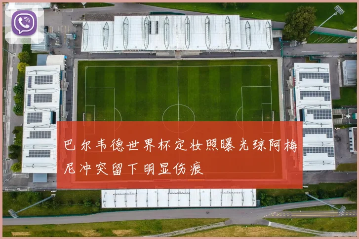 巴尔韦德世界杯定妆照曝光琼阿梅尼冲突留下明显伤痕