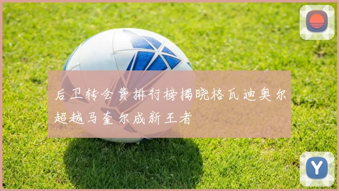 后卫转会费排行榜揭晓格瓦迪奥尔超越马奎尔成新王者