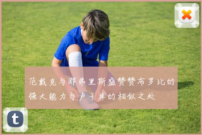 范戴克与邓弗里斯盛赞赞布罗比的强大能力与卢卡库的相似之处